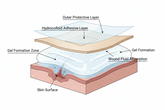 What Is a Hydrocolloid and How Does It Actually Work?